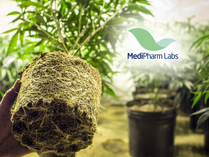 You can order Medipharm Labs for FREE DELIVERY in Niagara at Labs at Garden City Cannabis Co