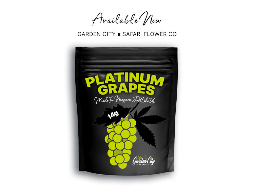 Platinum Grapes 14g Craft Grown by Garden City Cannabis Co & Safari Flower Co 