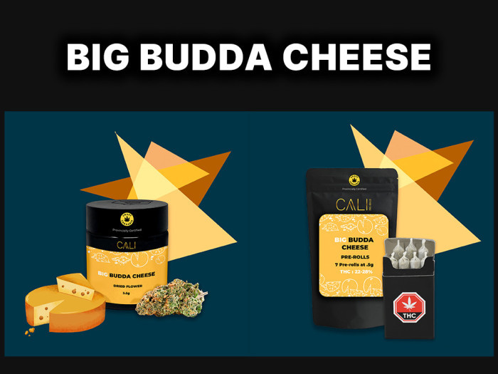 Big Budda Cheese | Cali | Garden City Cannabis Co
