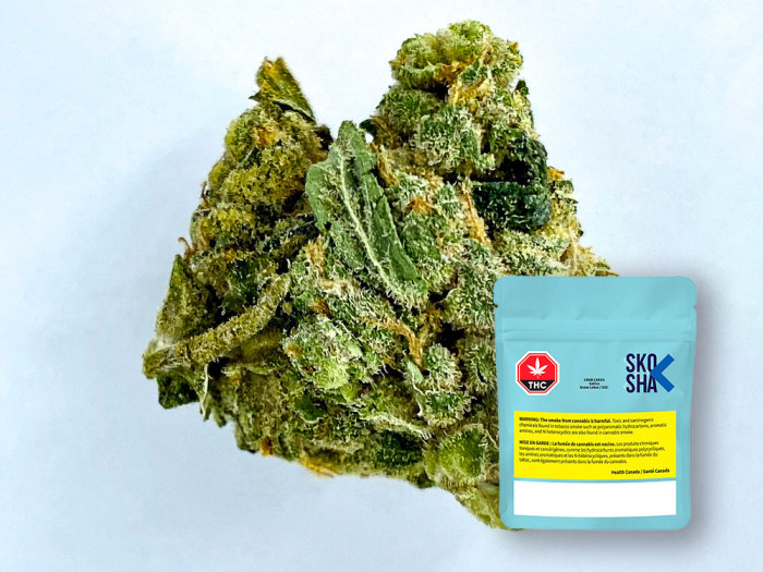 5 | SHOSHA Cannabis Crab Cakes  - Top 5 Products of 2024 | February | Garden City Cannabis Co