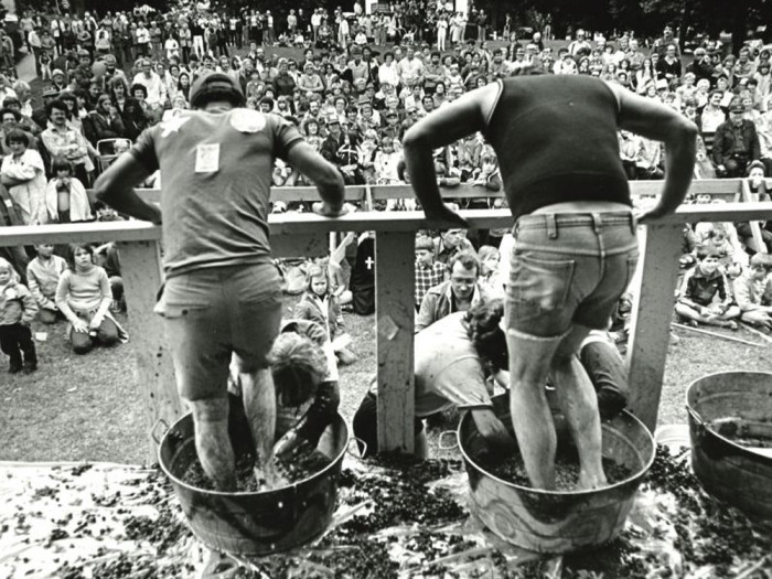 History of Niagara Wine Festival - Grape Stomping