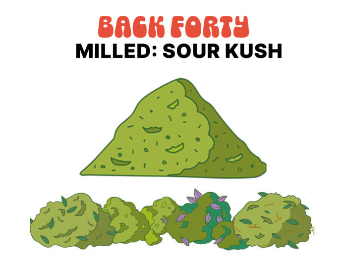 Back Forty Cannabis Big League Milled Sour Kush is available at Garden City Cannabis Co 