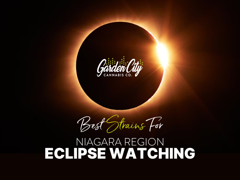 April 8th Niagara Region Eclipse Watching Suggestions from Niagaras Hometown Store Garden City Cannabis Co 