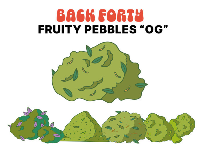 Back Forty Cannabis FPOG or Fruity Pebble OG are available at Garden City Cannabis Co 
