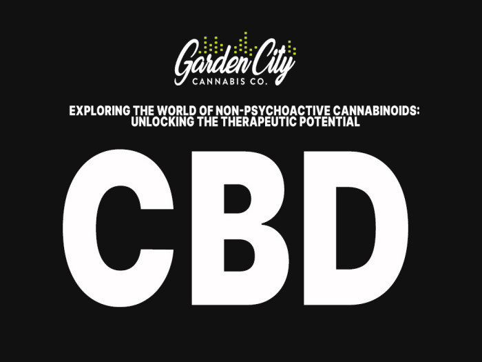 CBD Products Available at Garden City Cannabis Co 