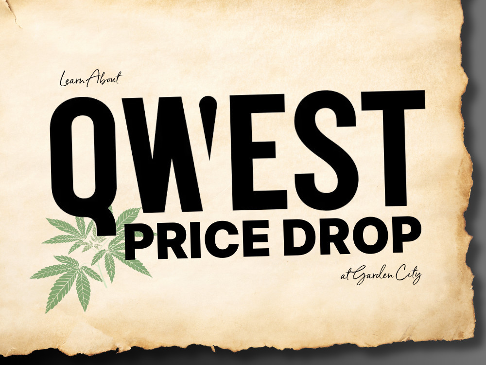 Qwest Cannabis is available at Garden City Cannabis and for FREE DELIVERY in St Catharines Welland Fort Erie Niagara Falls Thorold Niagara College Brock University 