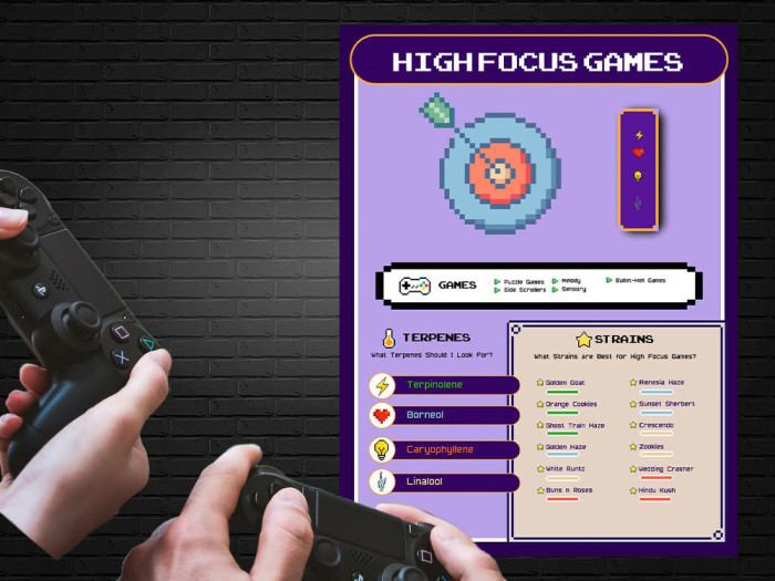 These are THE Best Weed Strains for High Focus Video Games 