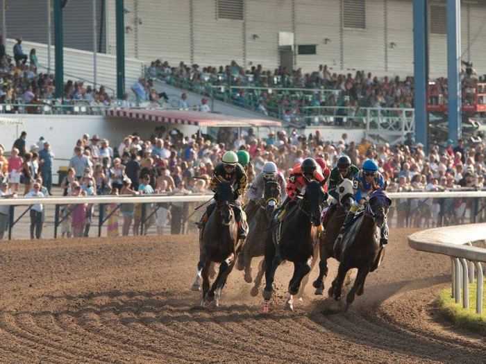 Experience the Thrill of Horse Racing at Fort Erie Race Track