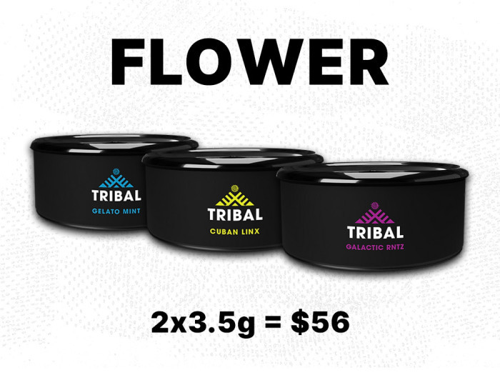 Garden City Cannabis Co is your place for TRIBAL FLOWER in Niagara