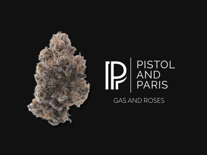 Pistol And Paris - Gas And Roses