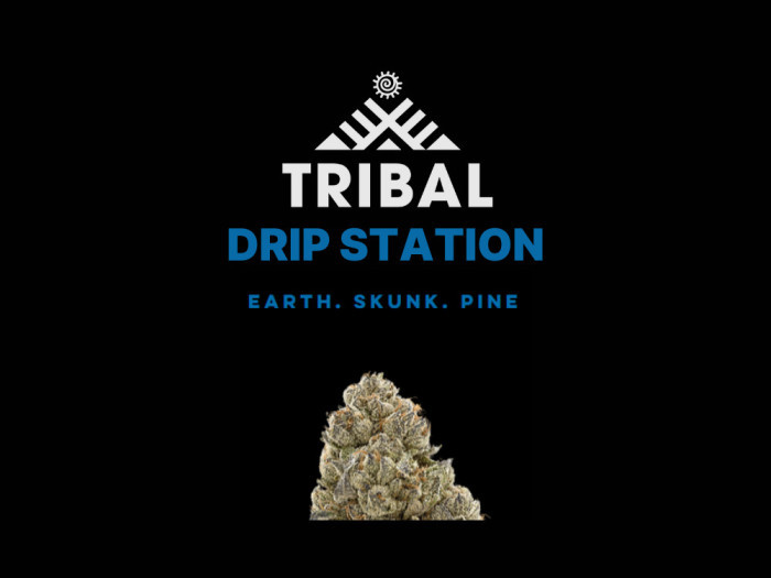 Drip Station | Tribal Cannabis Available at Garden City Cannabis Co