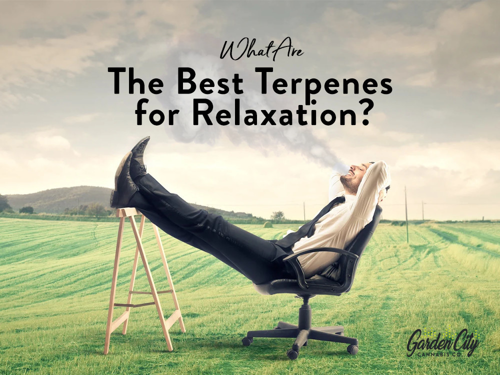 The Best Terpenes For Relaxation