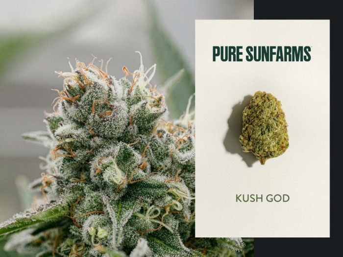 Pure SunFarms Kush God Welland St Catharines Fort Erie Garden City Cannabis Co Free Delivery