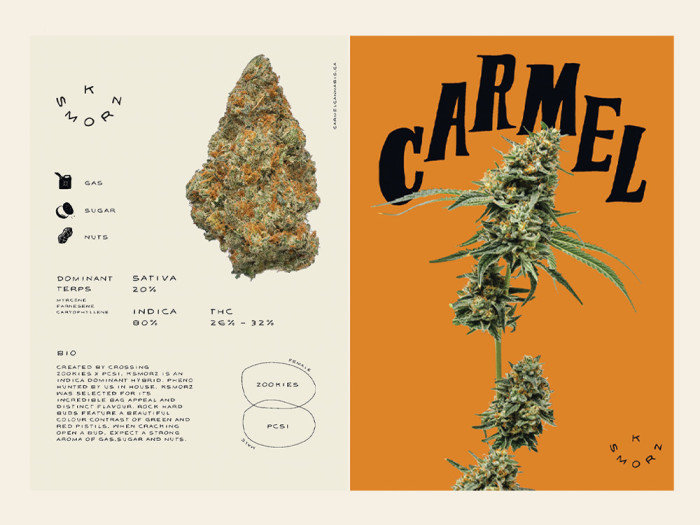 K Smorz Infographic by Carmel Cannabis 