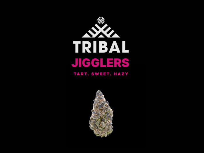 Jigglers | Tribal Cannabis Available at Garden City Cannabis Co