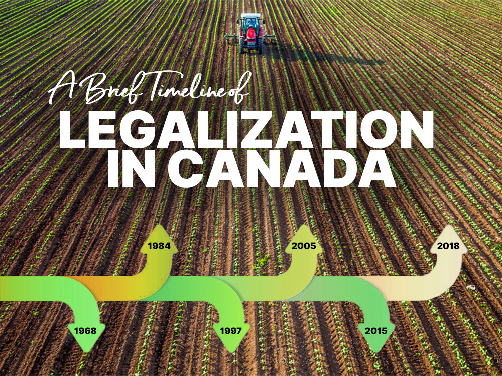 Legal Cannabis in Canada Timeline