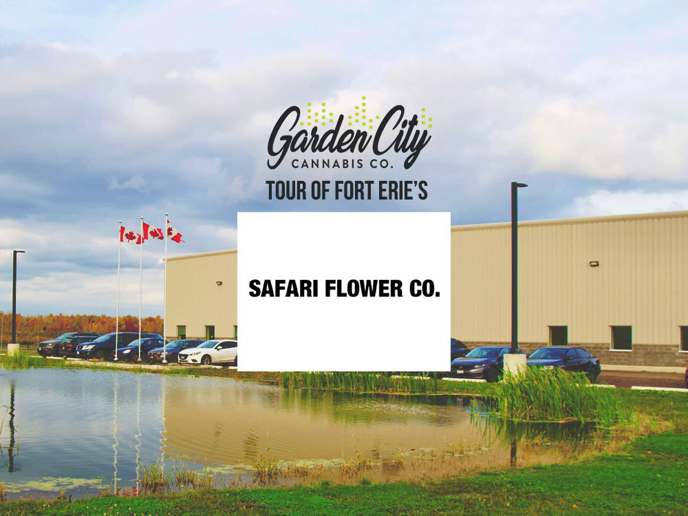 Tour of Safari Flower Co.
