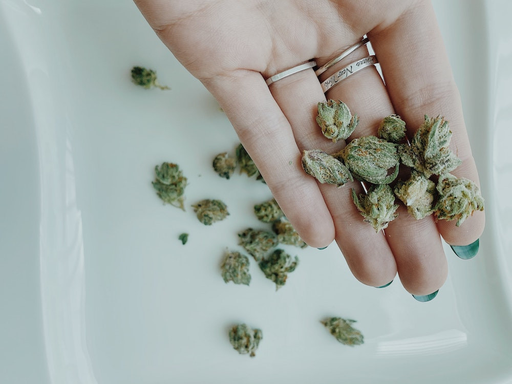 Woman holding cannabis