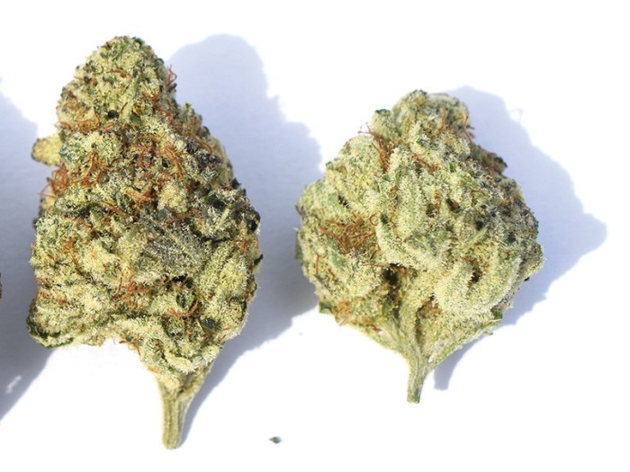 Cannabis | Garden City Cannabis Co