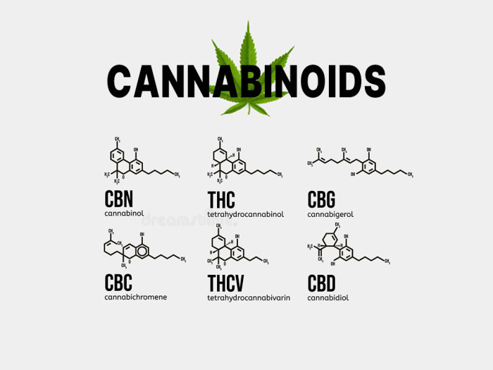 List of Cannabinoids | Garden City Cannabis Co 