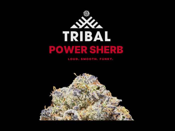 Power Sherb | Tribal Cannabis Available at Garden City Cannabis Co