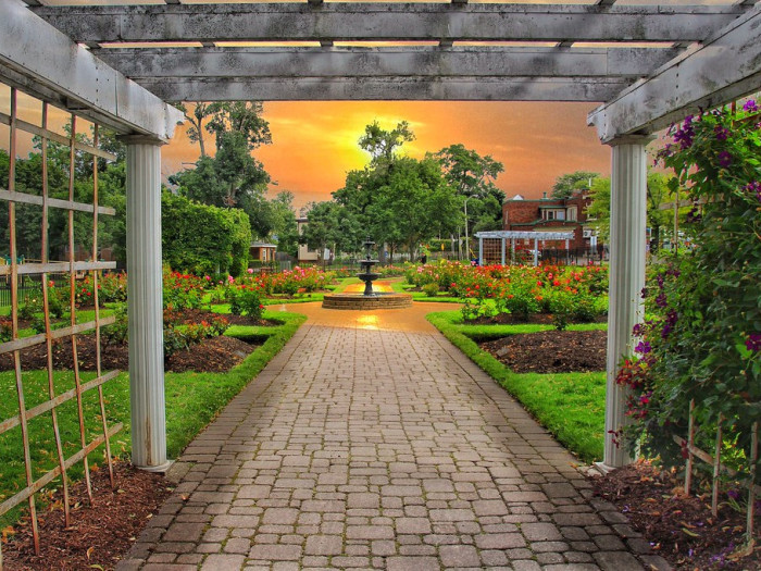 Wander Through the Montebello Park