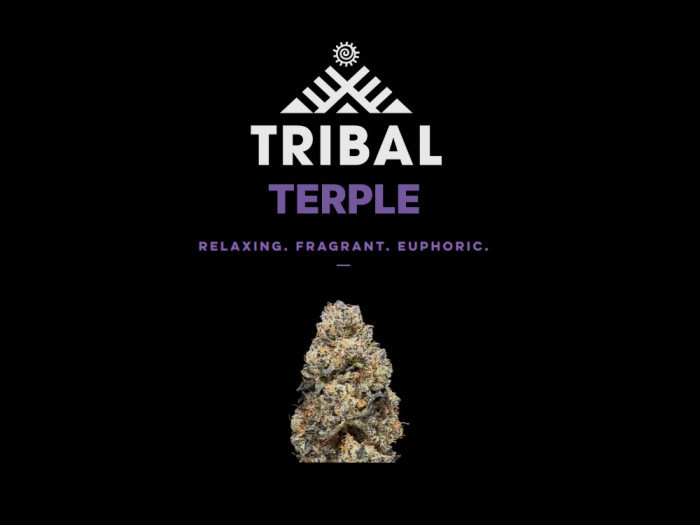 Terple | Tribal Cannabis Available at Garden City Cannabis Co