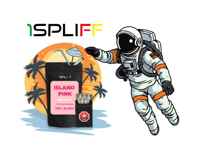 Island Pink by 1Spliff Available in St Catharines Welland and Fort Erie at Niagaras Hometown Dispensary Garden City Cannabis Co