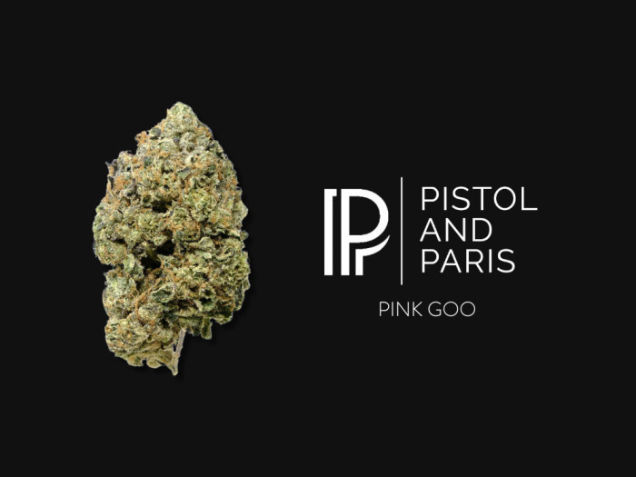 Pistol and Paris - Pink Goo 