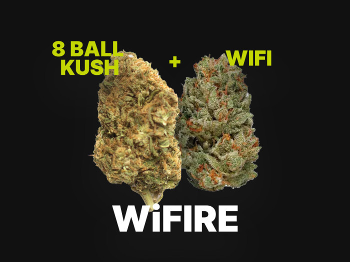 WiFire 1g Blunt | Garden City Cannabis Co 