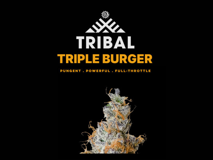 Triple Burger | Tribal Cannabis Available at Garden City Cannabis Co