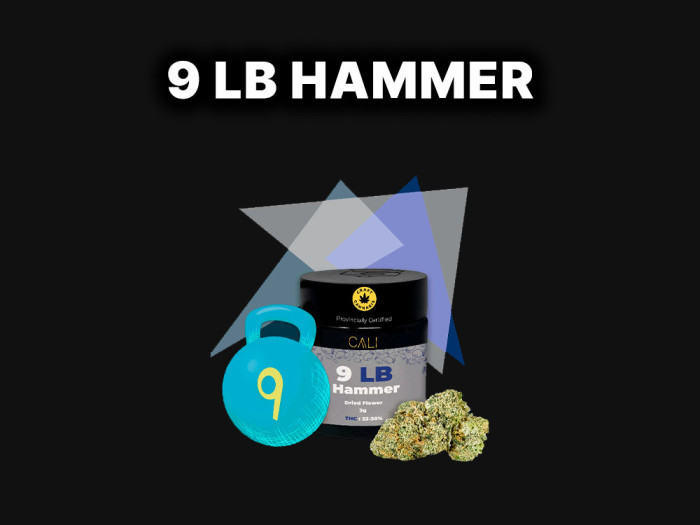 9 LB Hammer | Cali | Garden City Cannabis Co