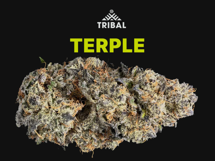 Terple by Tribal at Garden City Cannabis Co