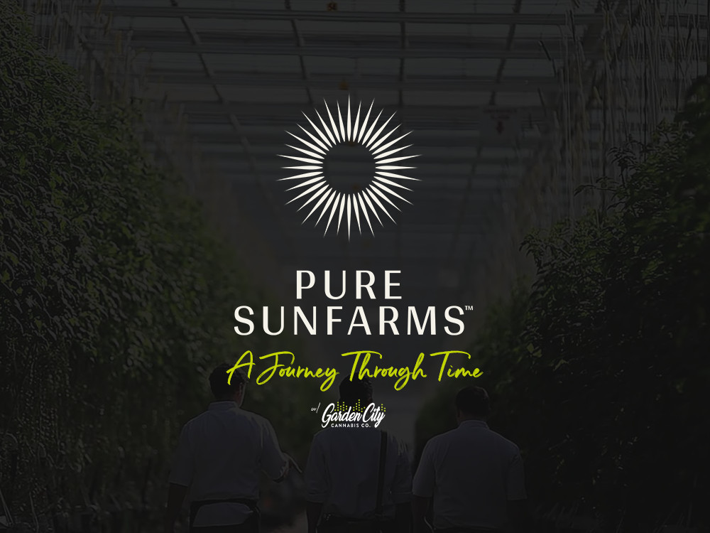 Pure SunFarms A Journey Through Time With Niagaras Hometown Cannabis ...