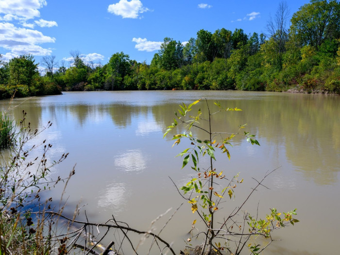 Visit the Enchanting Fort Erie Conservation Club