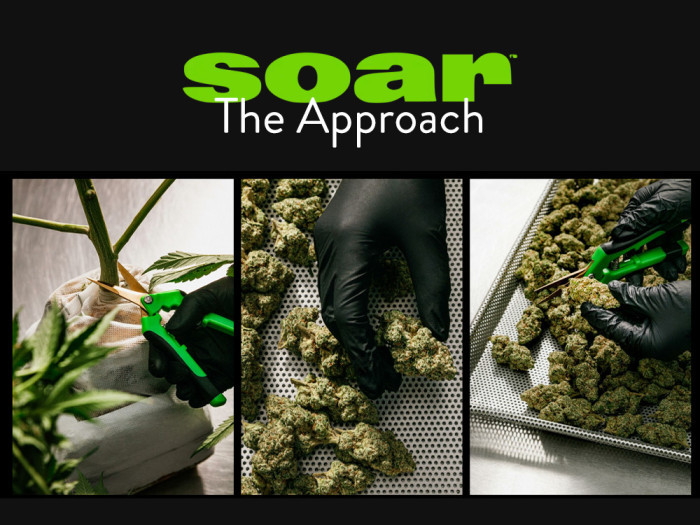 Soar Cannabis: The Approach