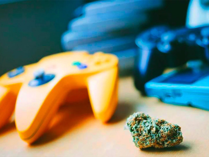 Find out what weed strains work best with video games at Niagara's hometown store 