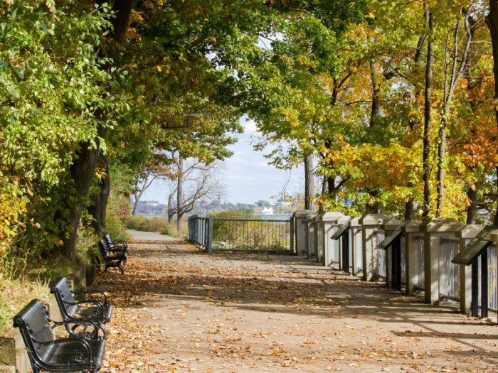 Explore the Peaceful Waverly Beach Park