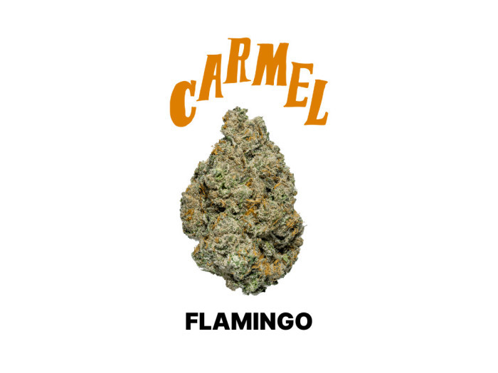 Flamingo by Carmel Cannabis available at Garden City Cannabis Co