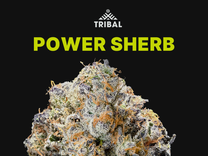 Power Sherb by Tribal at Garden City Cannabis Co