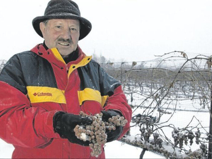 The Captivating History of the Niagara Wine Festival in St. Catharines 1