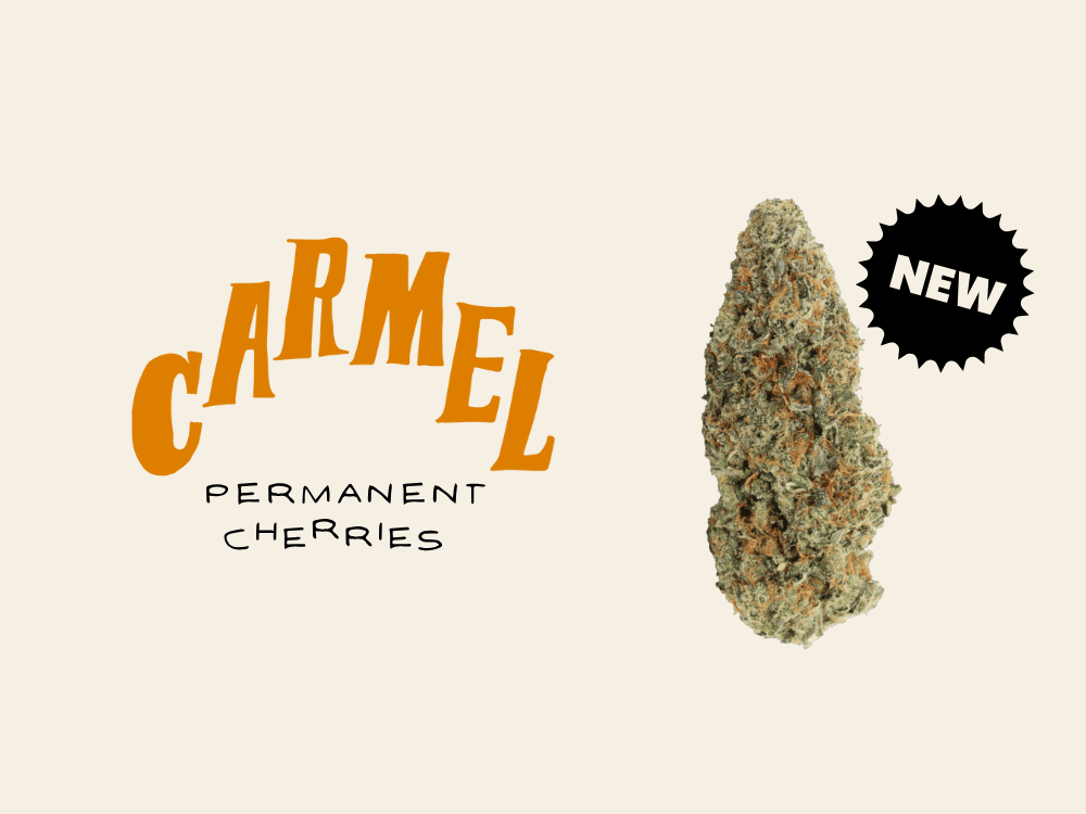 Carmel Permanent Cherries Available at Garden City Carmel Permanent Cherries Available at Garden City