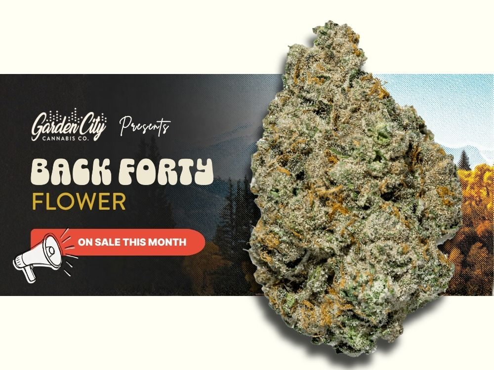 3 Back Forty Cannabis Flower Avalable for Free Delivery in Niagara